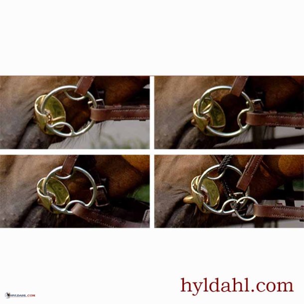Stbben Golden Wing LooseRing Snaffle 4:1
