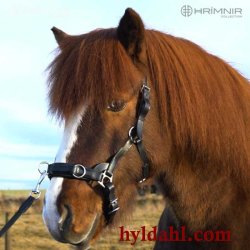 Hrimnir Atlas Multi Cavesson